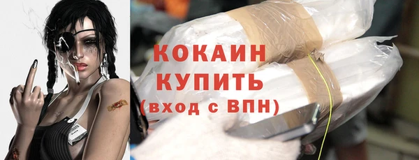 дживик Арсеньев