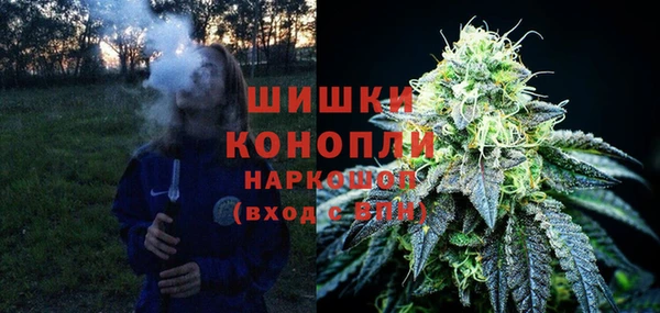 дживик Арсеньев
