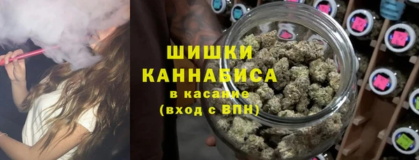 дживик Арсеньев