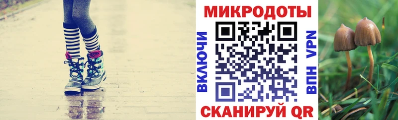 купить  цена  Мещовск  Галлюциногенные грибы Psilocybine cubensis 