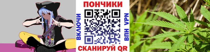 магазин продажи наркотиков  Мещовск  Бошки марихуана Amnesia 